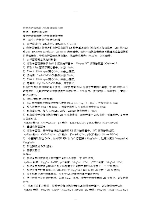 植物表达载体转化农杆菌操作步骤