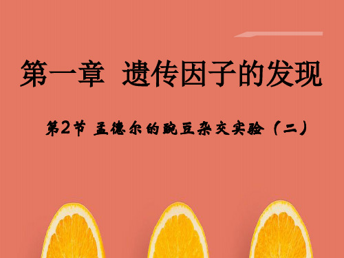 1.2孟德尔的豌豆杂交实验二   教学课件 PPT (2套)