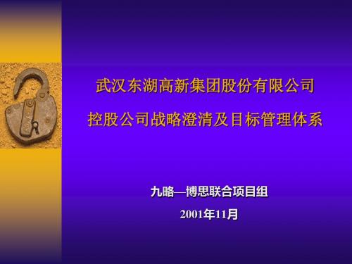 控股公司战略澄清及目标管理体系-V2