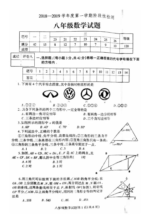 山东省临沂市郯城县2018--2019学年度八年级上学期期中考试  数学试题(含答案)