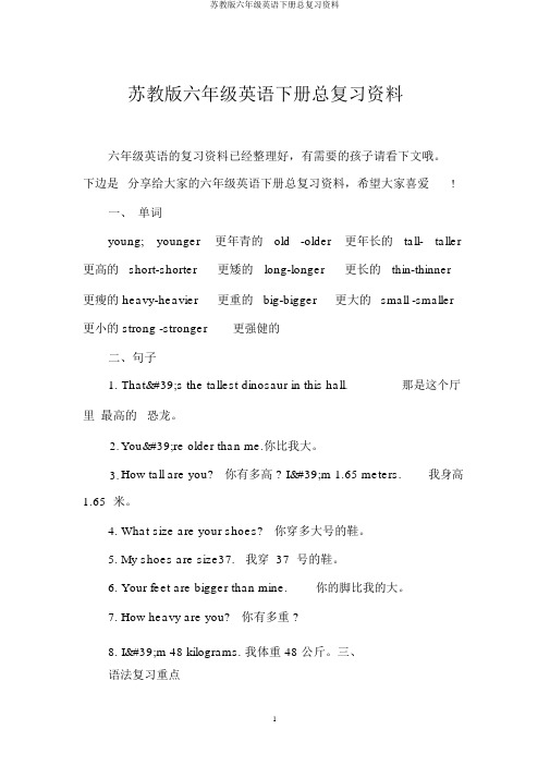 苏教版六年级英语下册总复习资料