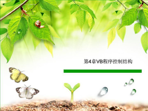 第4章VB程序控制结构