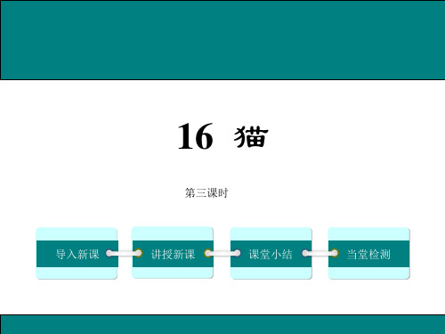 猫(第三课时)教学课件