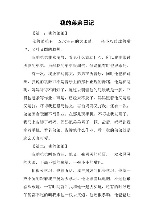 我的弟弟日记