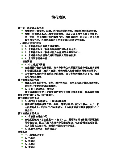 棉花灌溉