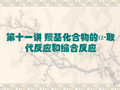 羰基化合物a取代反应和缩合反应ppt课件