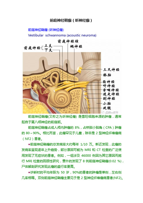 前庭神经鞘瘤（听神经瘤）