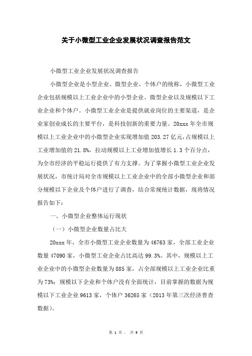 关于小微型工业企业发展状况调查报告范文