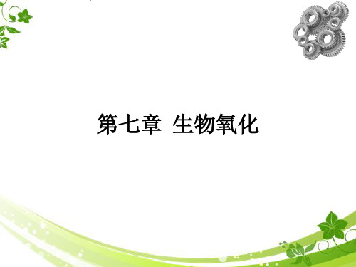 生物化学 6章  生物氧化