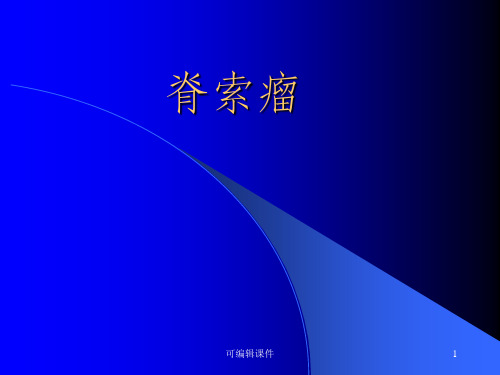 脊索瘤影像诊断PPT课件