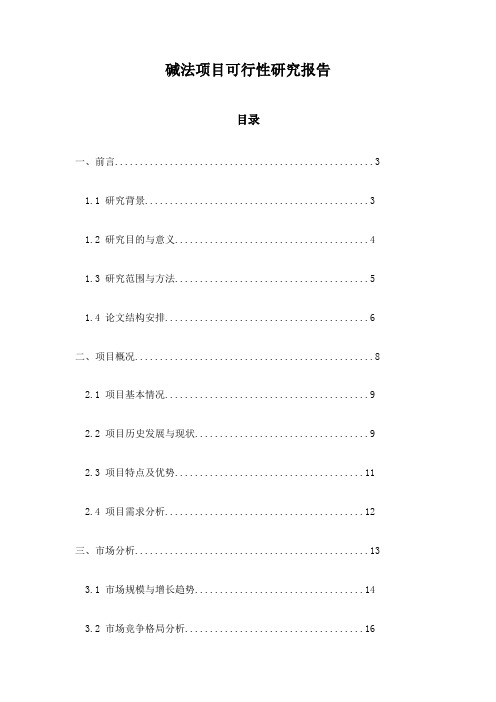 碱法项目可行性研究报告