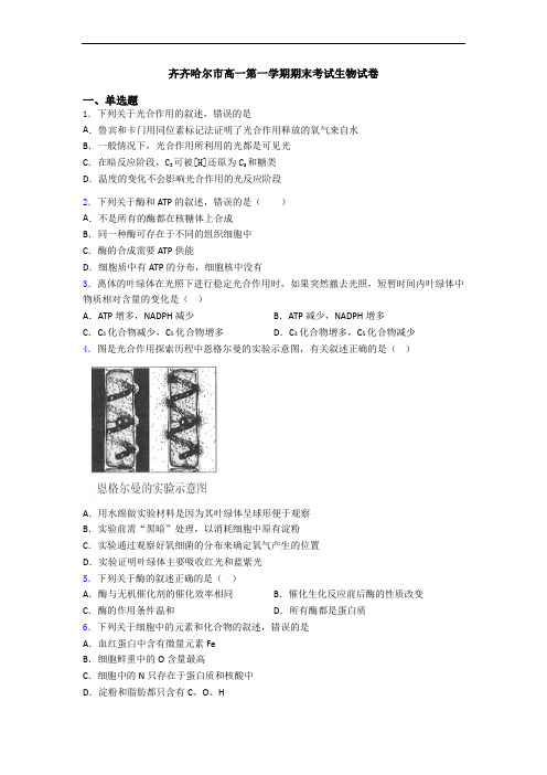 齐齐哈尔市高一第一学期期末考试生物试卷
