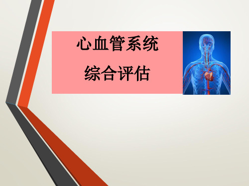 心血管系统综合评估课件