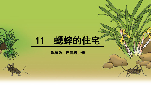部编人教版四年级语文上册第11课《蟋蟀的住宅》精美课件(共66张PPT)