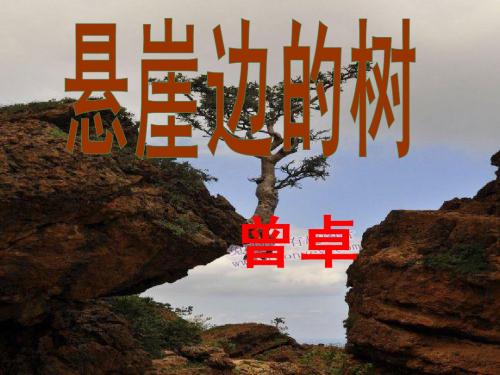 河大版七年级语文上册悬崖边的树根露三课合集