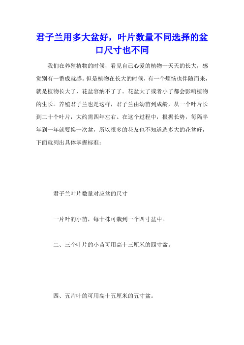 君子兰用多大盆好,叶片数量不同选择的盆口尺寸也不同