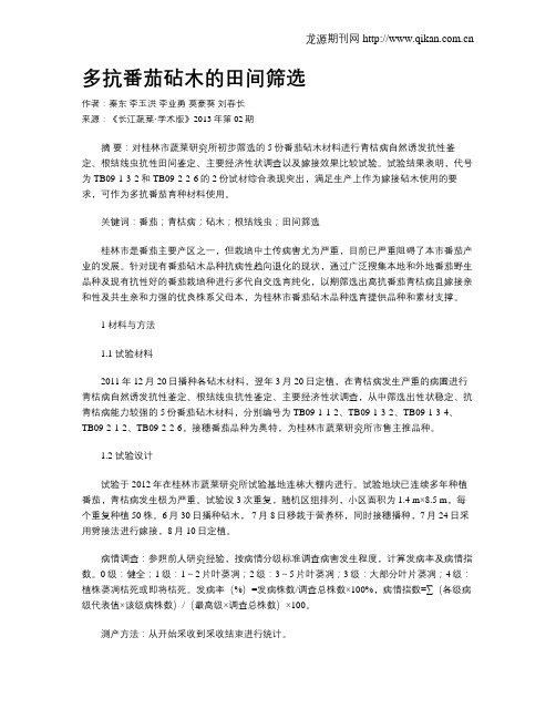 多抗番茄砧木的田间筛选