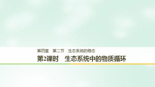 2018_2019版高中生物第四章生态系统的稳态第二节生态系统稳态的维持第2课时课件苏教版必修3