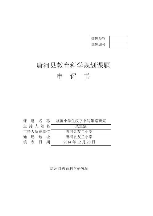 规范小学生汉字书写策略研究课题申评书