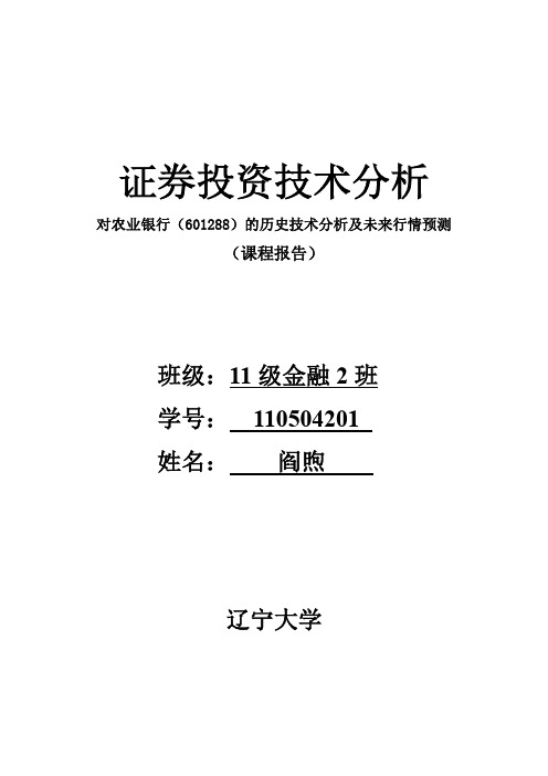 农业银行技术投资分析