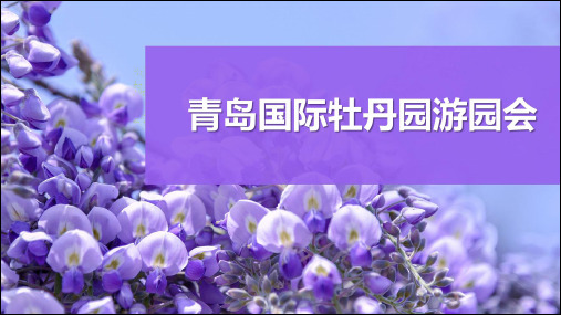 2019牡丹花海风铃游园活动方案-47P
