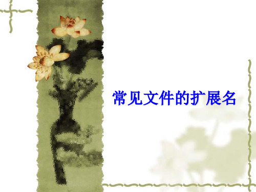常见的扩展名及类型