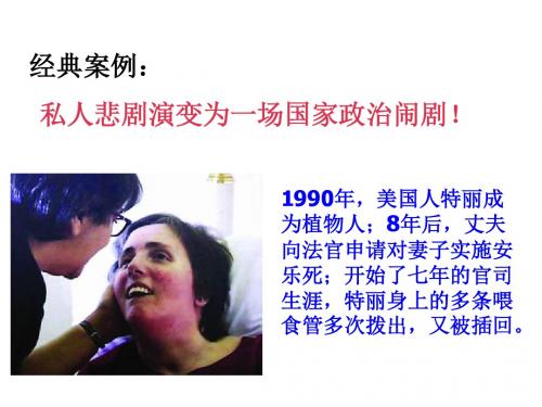 3.3 美国的三权分立制