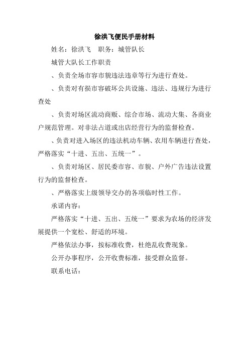 城管大队长工作职责