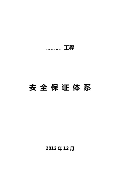 安全管理体系与措施(安保体系)