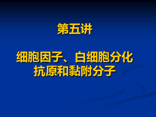 细胞因子、CDs和粘附分子