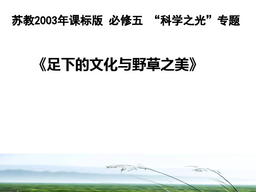 《足下的文化与野草之美》课件