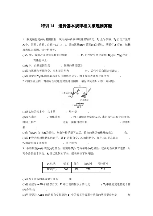 浙江学业水平考试生物 考前特训14遗传基本规律相关推理推算题