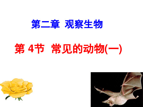 浙教版七年级科学上册2.4常见的动物一