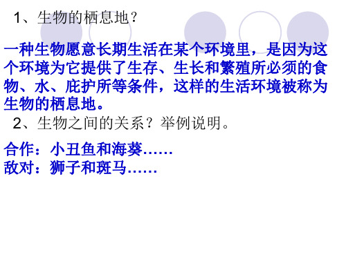 六年级下 有利于生存的本领苏教版实用PPT