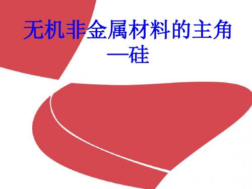 硅说课PPT