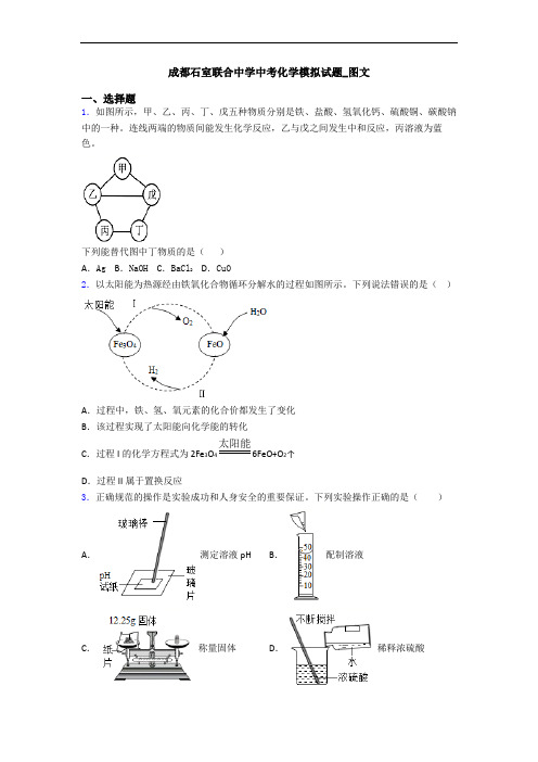 成都石室联合中学中考化学模拟试题_图文