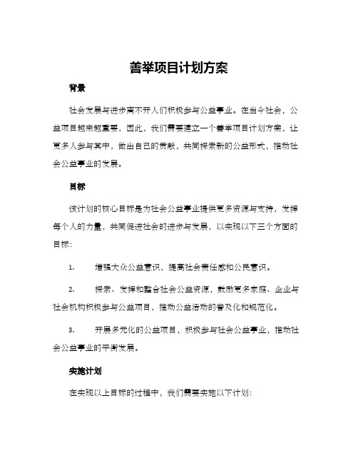 善举项目计划方案