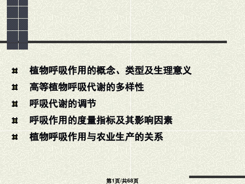《植物生理学》课件第四章