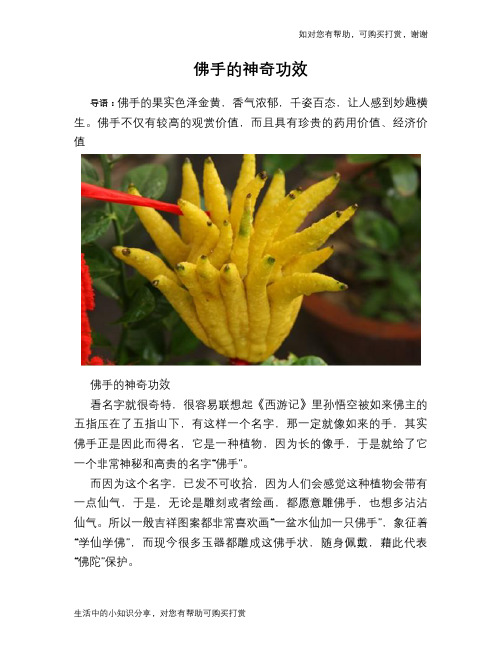 佛手的神奇功效
