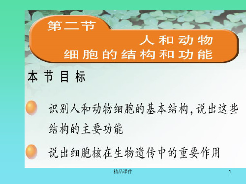 第二节2_人和动物细胞的结构和功能ppt课件
