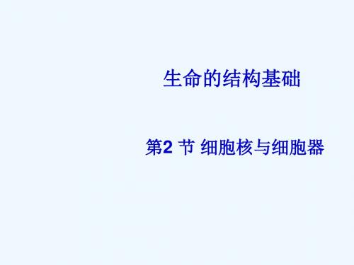 沪科版生命科学高一上3-2《细胞核和细胞器》PPT课件11