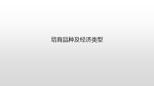 培育品种及经济类型课件(共23张PPT)《猪生产》同步教学(中国农业出版社)