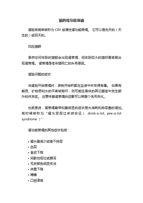 猫的肾功能衰竭