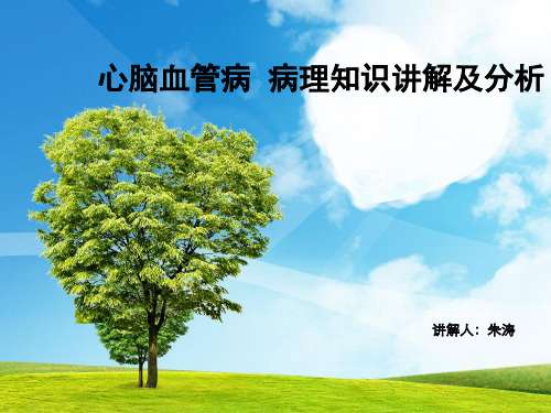 心脑血管病理知识讲解及分析课件.