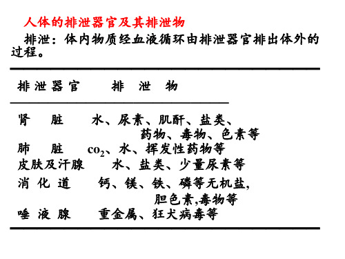 生理学：第八篇   尿的生成和排出