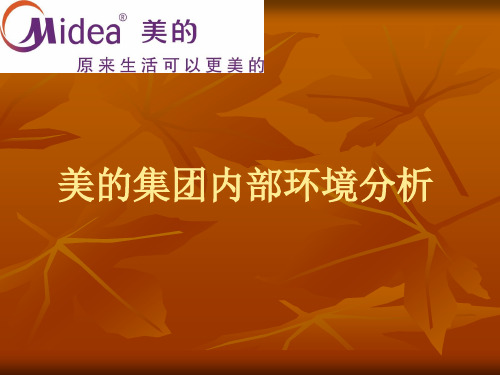 美的集团内部环境分析