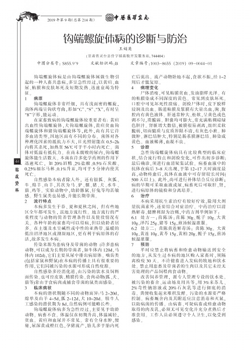 钩端螺旋体病的诊断与防治