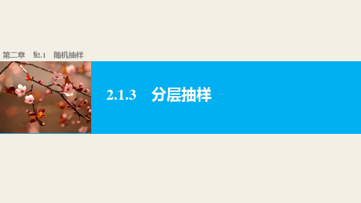 高中数学(人教版A版必修三)配套课件：2.1.3分层抽样