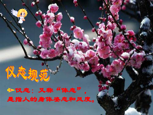 护理人员职业形象塑造2PPT课件
