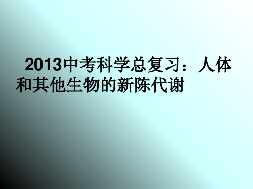 复习导引第4讲《人体和其他生物的新陈代谢》复习PPT课件